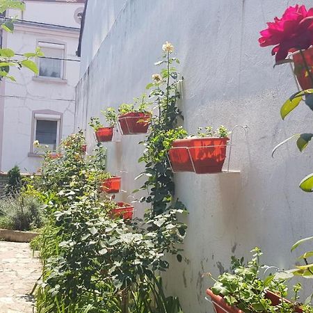 Garden Apartments Belgrad Exterior foto